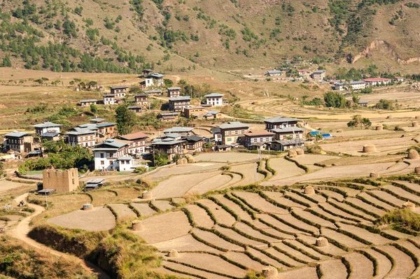 Kırsal ve Butan tarım arazisi — Stok fotoğraf