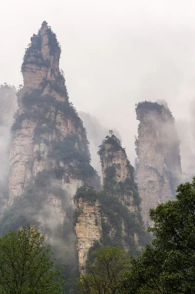 Vista Surrealista Brumosa Formación Rocosa Única Hunan China — Foto de Stock