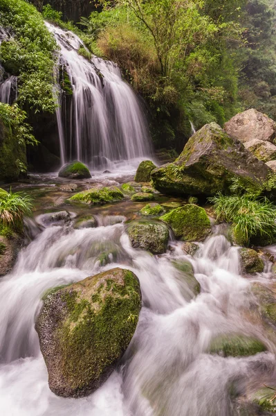 Hermosa cascada en la mañana temprano —  Fotos de Stock