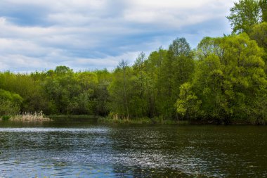 Doğal yaz manzarası