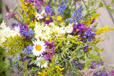 Bir buket kır çiçeği.