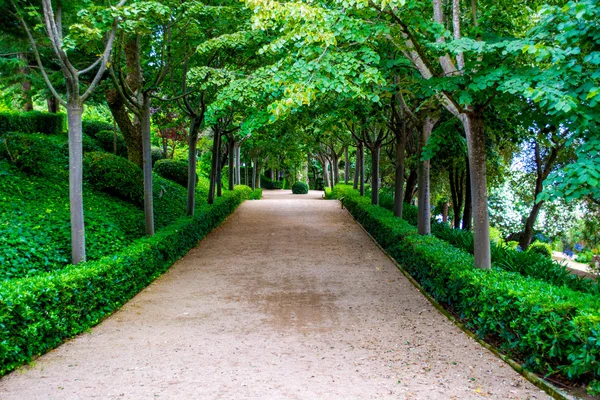 Green park nature — Stock Photo, Image