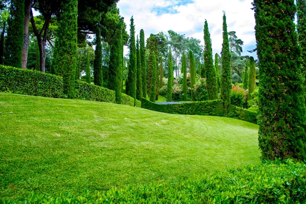 Grüne Parknatur — Stockfoto