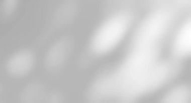 Beyaz duvarda yaprakların gölgesi var. Duvarda güneş ışığı etkisi var. Arka planda bulanıklık çok az. Yaz tropik yüzey arkaplanı.