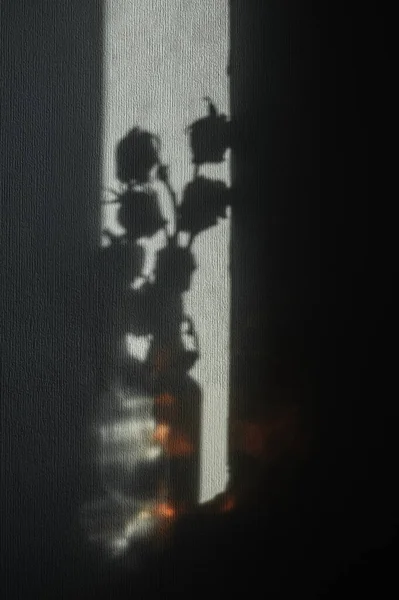 bottle shadows with highlights on the wall