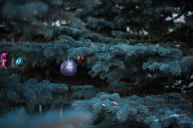 Sokak ladini Noel toplarıyla süslenmiş. Yüksek kalite fotoğraf