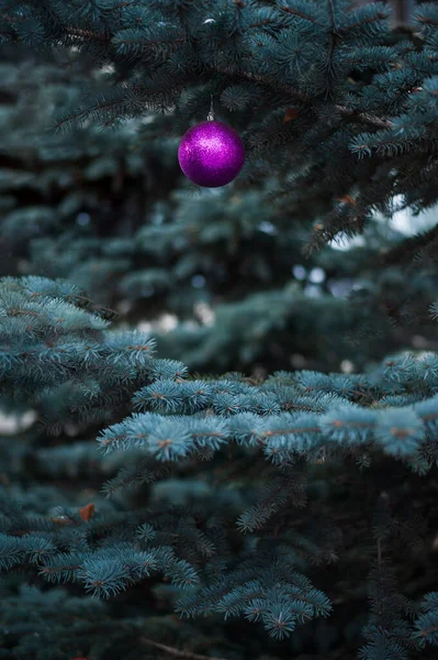 Sokak ladini Noel toplarıyla süslenmiş. — Stok fotoğraf