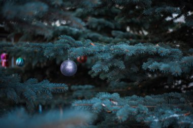 Sokak ladini Noel toplarıyla süslenmiş. Yüksek kalite fotoğraf