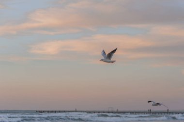 Altın saat boyunca deniz manzarası. Yüksek kalite fotoğraf