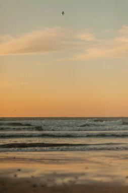 Altın saat boyunca deniz manzarası. Yüksek kalite fotoğraf