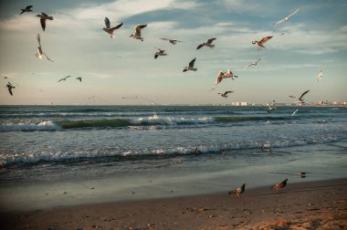 Altın saat boyunca deniz manzarası. Yüksek kalite fotoğraf