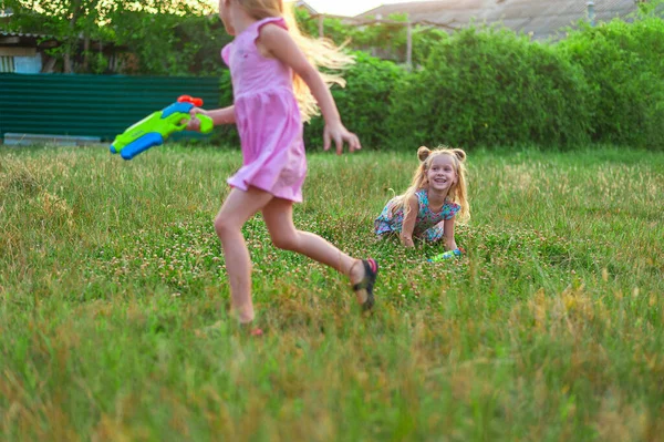 Two little girls play in the summer on a green meadow with water pistols — Stok fotoğraf