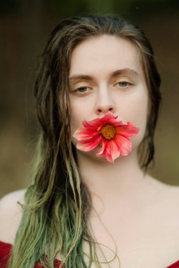 Ağzında kırmızı bir çiçek tutan bir kız. Konsept fotoğraf