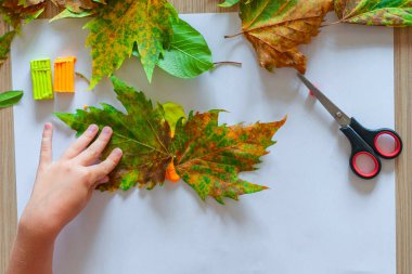 Evde yapraklar ve plastikten sonbahar zanaatı nasıl yapılır? Çocuk sanat projesi. Diy konsepti. Beyaz arka planda kelebek yapan çocukların elleri. Adım adım fotoğraf talimatları. Adım 3