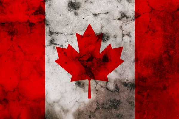 Canada Vlag Met Zwarte Vlekken — Stockfoto