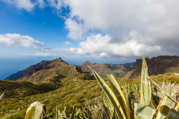 Maska Vesnice Španělsku Populární Turistické Destinace Maska Vesnice Tenerife — Stock fotografie