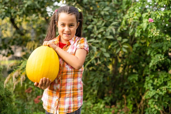 Halloween Fericit Drăguț Puțin Dovleac Mâini — Fotografie, imagine de stoc