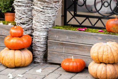 Ön kapıya çıkan merdivenlerde içi balkabağı dolu büyük bir vazo var. Cadılar Bayramı, Şükran Günü, sonbahar ve sonbahar için sezonluk gösteri.