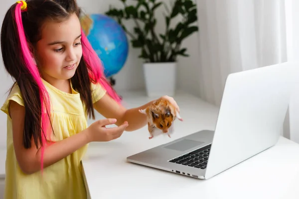 Jovem Alegre Com Hamster Estimação Usando Computador Portátil Estudando Através — Fotografia de Stock