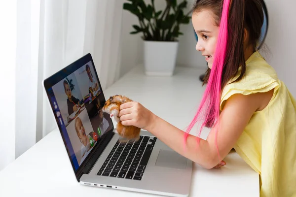 Ragazzina allegra con un criceto domestico utilizzando il computer portatile che studia attraverso il sistema di e-learning online a casa. Apprendimento a distanza o remoto — Foto Stock