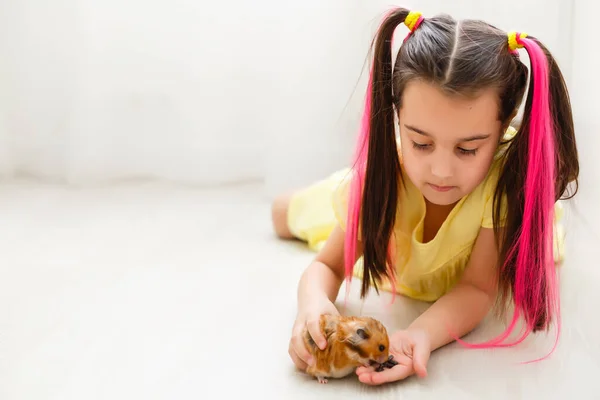 Little Pal Girl Holding Her Hamster Palms — Stock Photo, Image