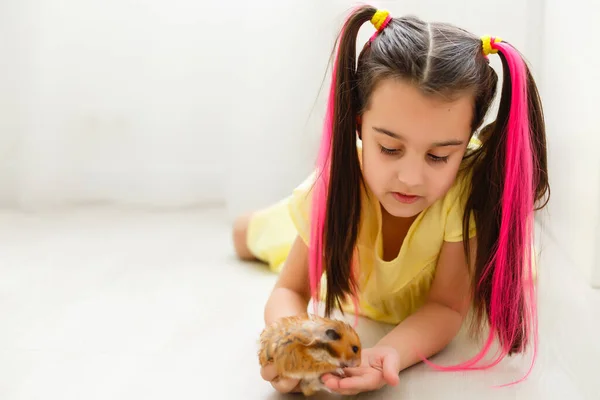 Menina Observando Seu Hamster Perto — Fotografia de Stock