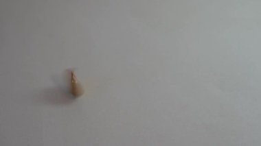 Beyaz arkaplan üzerinde Bitcoin döndürme