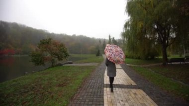 Güz parkı ağacında göl