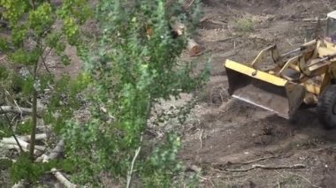 Kazı makinesi yol çalışması yapıyor. Bir kovayla toprağı kazıyor. Yol ekipmanı operasyonu