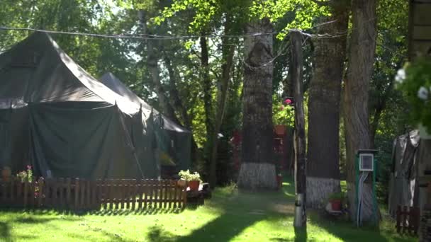 キャンプ場のテントから見える古い森の美しい緑の夏の日当たりの良い自然景観。幸せな旅行と観光の概念. — ストック動画
