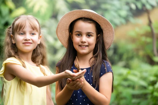 Dvě Malé Sestřičky Držící Motýla Rukou Děti Zkoumají Přírodu Rodinný — Stock fotografie