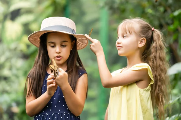 Дві Маленькі Дівчата Метеликами Теплиці — стокове фото