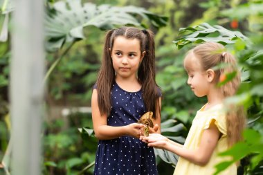 İki kız kardeş ellerinde bir kelebek tutuyor. Doğayı keşfeden çocuklar. Yazın çocuklarla aile eğlencesi..