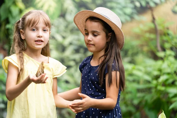 Duas Irmãzinhas Segurar Uma Borboleta Nas Mãos Crianças Explorando Natureza — Fotografia de Stock