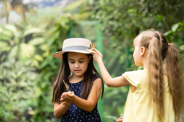 Дві Маленькі Дівчата Метеликами Теплиці — стокове фото