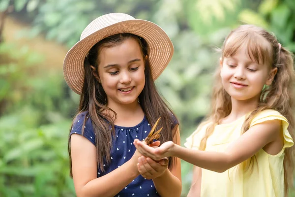 Дві Маленькі Сестри Тримають Метелика Руках Діти Досліджують Природу Сімейне — стокове фото