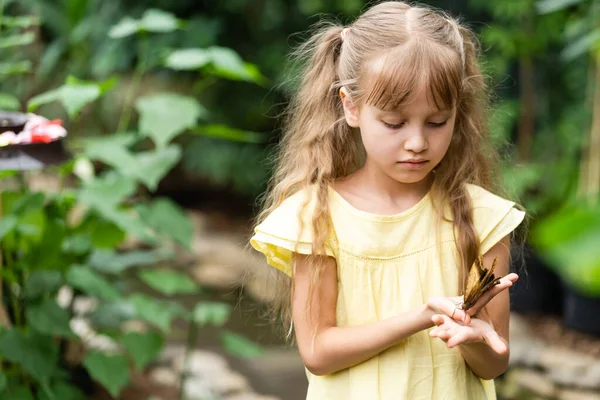 Мила Маленька Дівчинка Тримає Живий Красивий Метелик Руці — стокове фото