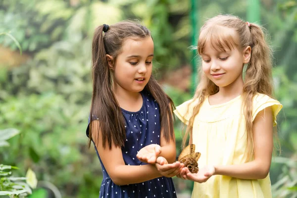 Două Surori Mai Mici Ţin Fluture Mâini Copiii Explorează Natura — Fotografie, imagine de stoc