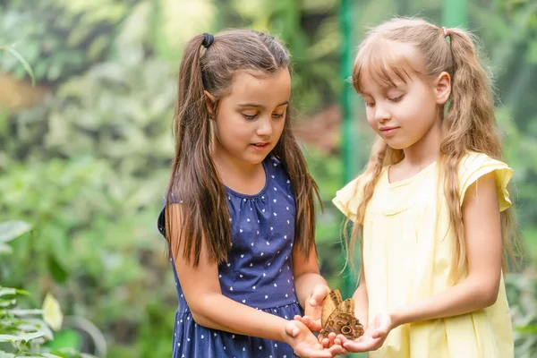 Дві Маленькі Сестри Тримають Метелика Руках Діти Досліджують Природу Сімейне — стокове фото