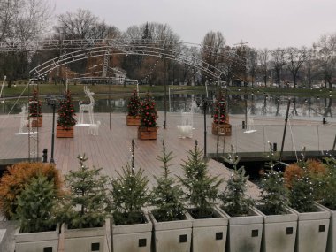 Kırmızı kurdeleler ve toplarla süslenmiş saksılarda Noel ağaçları, sokaklarda noel süsleri