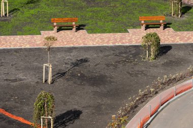 Sonbaharda şehir parkında ağaç dikmek. Büyümesine yardım etmek için kazık kullanmak..