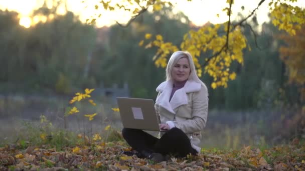Femeie Drăguță Laptop Parcul Toamnă Frumusețe Natură Scenă Fundal Frunziș — Videoclip de stoc