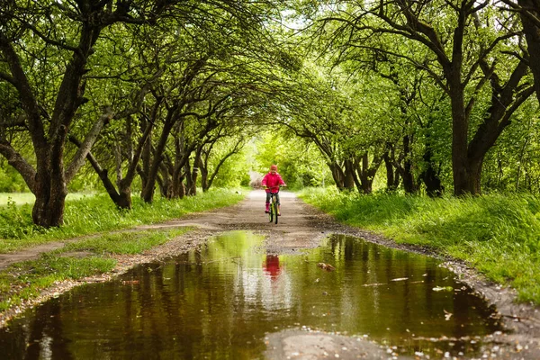 Niña Montar Bicicleta Charco Agua — Foto de Stock