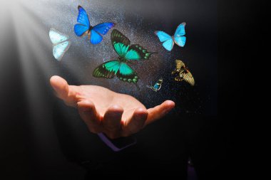 butterflies over hands on a black background and rays clipart