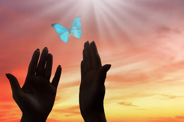 Man Hand Butterfly Fingers Pulled Sky Background — Stock Photo, Image