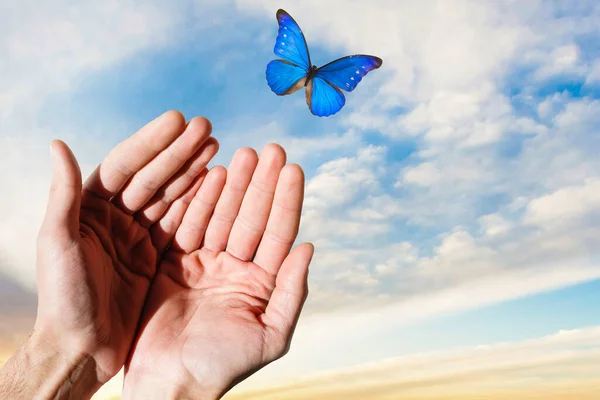 Man Hand Butterfly Fingers Pulled Sky Background — Stock Photo, Image