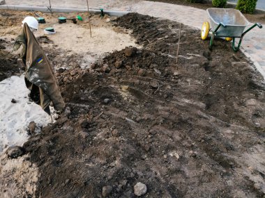 Bahçede peyzaj. Bahçedeki patika.