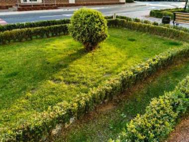 Çimlerin etrafında çeşitli renklerde tomurcuklanmış kaldırımlar, şık bir bahçe var.