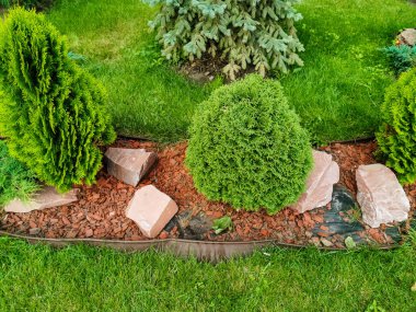 Çimlerin etrafında çeşitli renklerde tomurcuklanmış kaldırımlar, şık bir bahçe var.