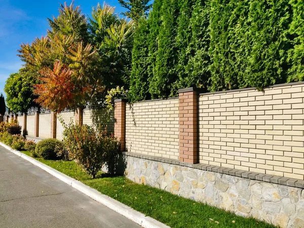 Arbustos Verdes Macizo Flores Casa Diseño Paisajístico Los Jardines Zona — Foto de Stock